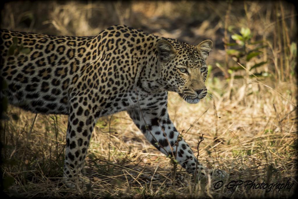 Laguna Lodge Graskop Ruang foto